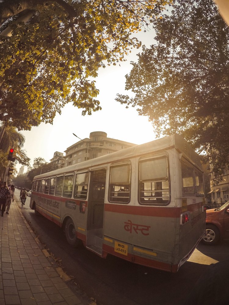 बेस्ट ♥️✨