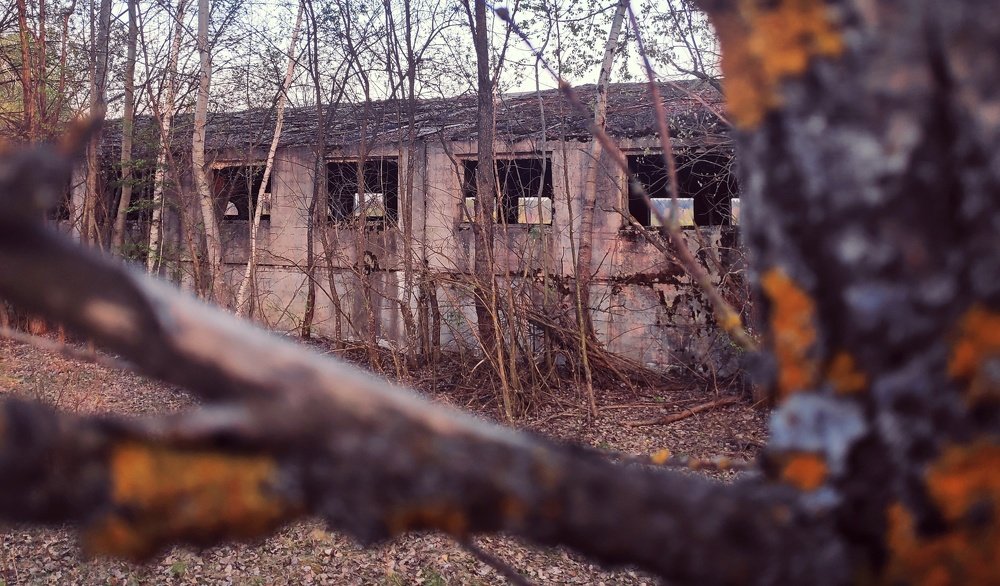 Мрачная красота давно нехоженых мест