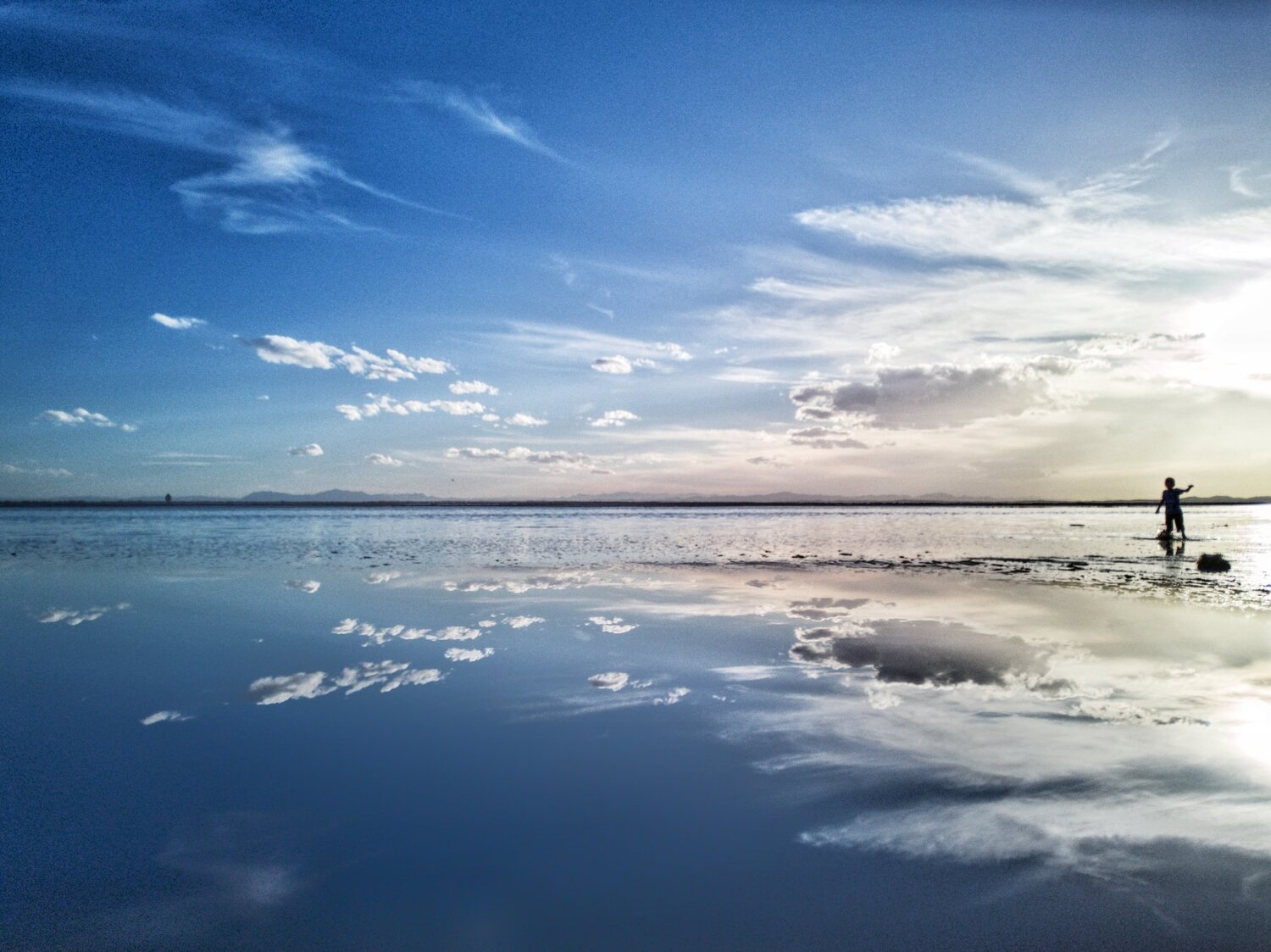 Photo #3276885