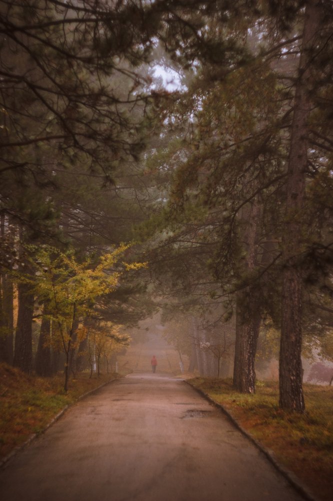 Photograph by Максим Луцив