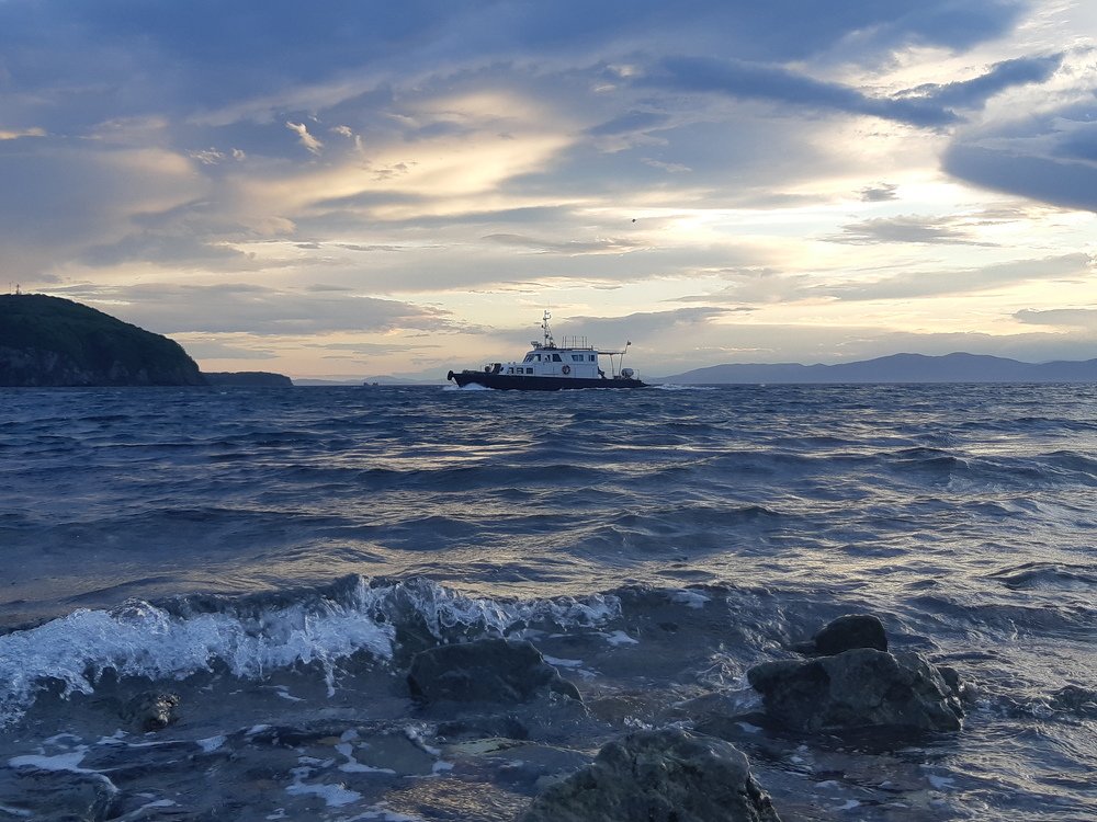 Вот и дома....