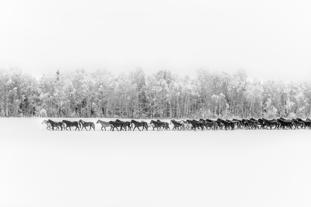 amidst the snow and cold