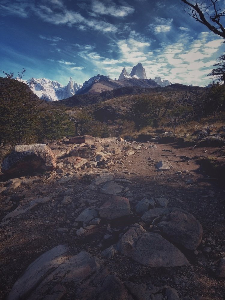 Sendero a laguna Torre