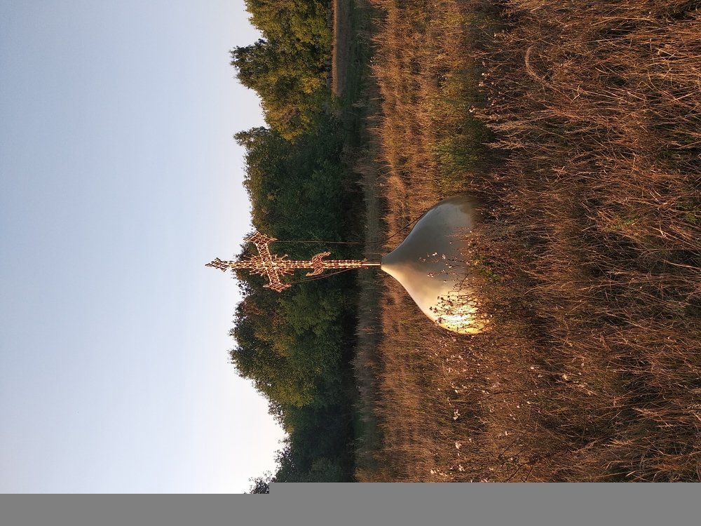 Родина моя...