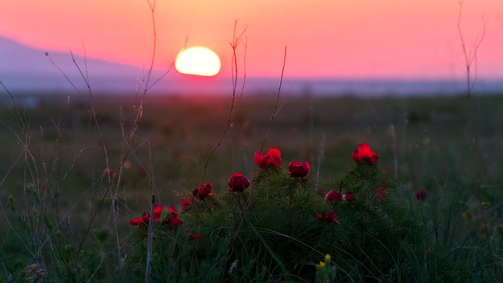 Проводы солнца