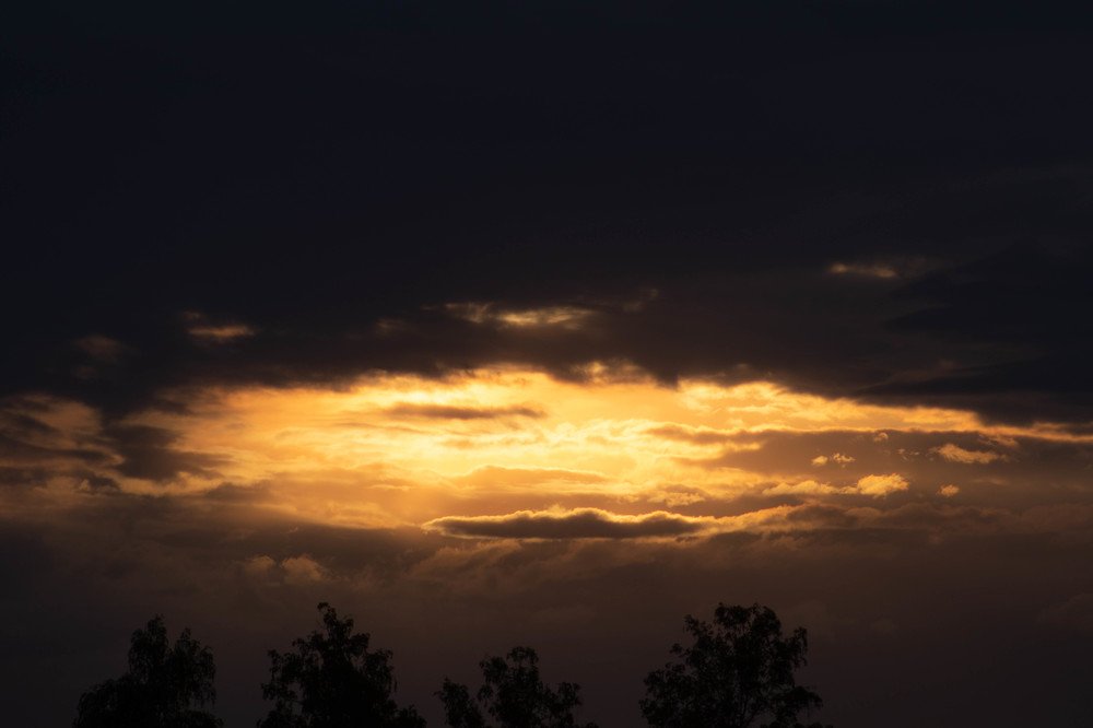 Photograph by Терентьев Георгий