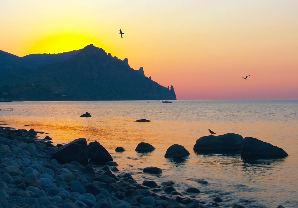 Летнее утро