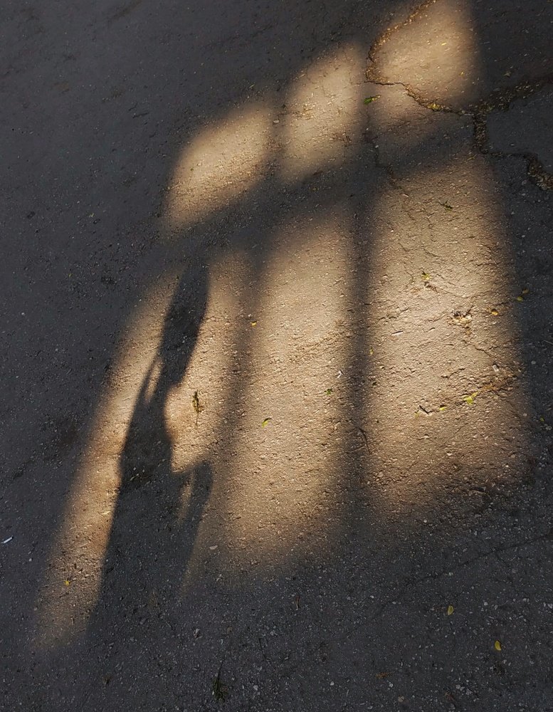 Photograph by Анастасия Чудинова