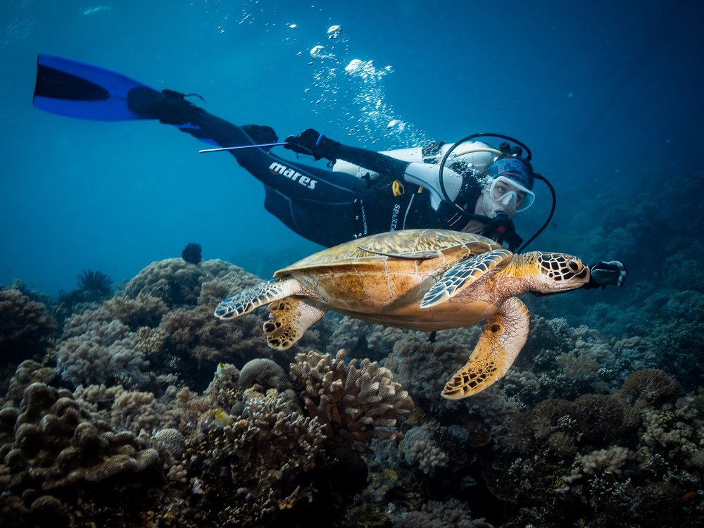 Photograph by Юрий Журавлев