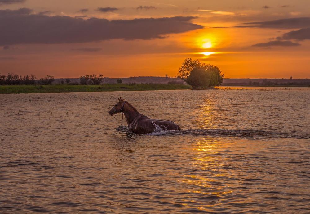 ЗОВ ПРИРОДЫ
