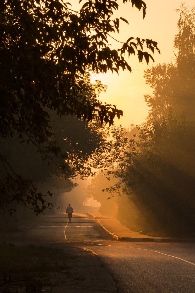 Прогулка на рассвете