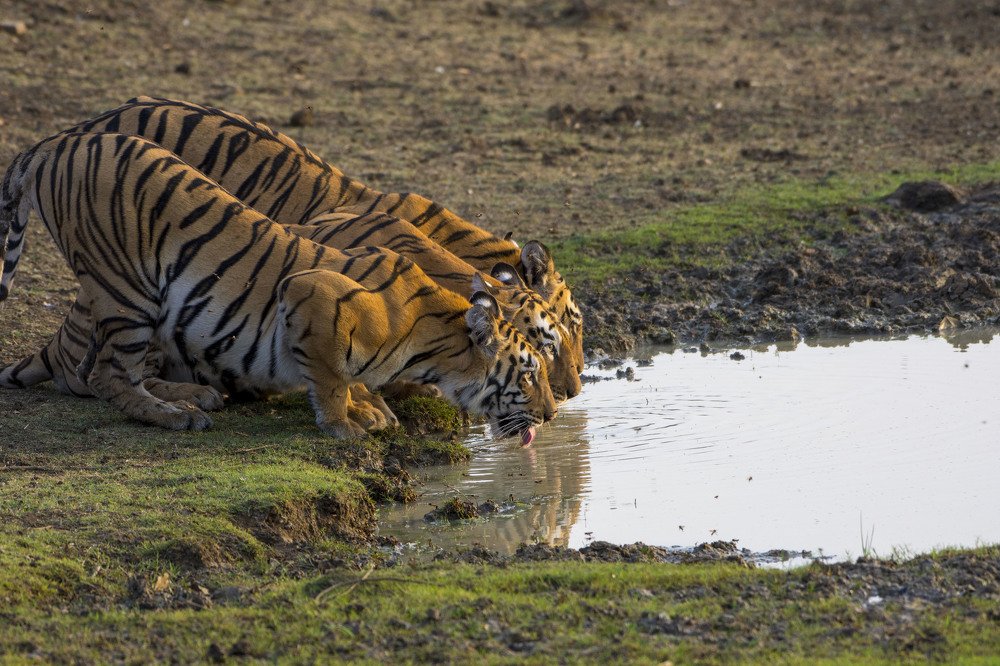 Tanking up for the day