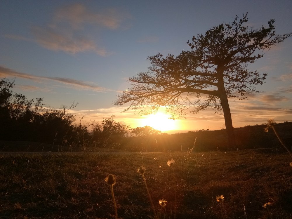 Capturing the scenic sunset
