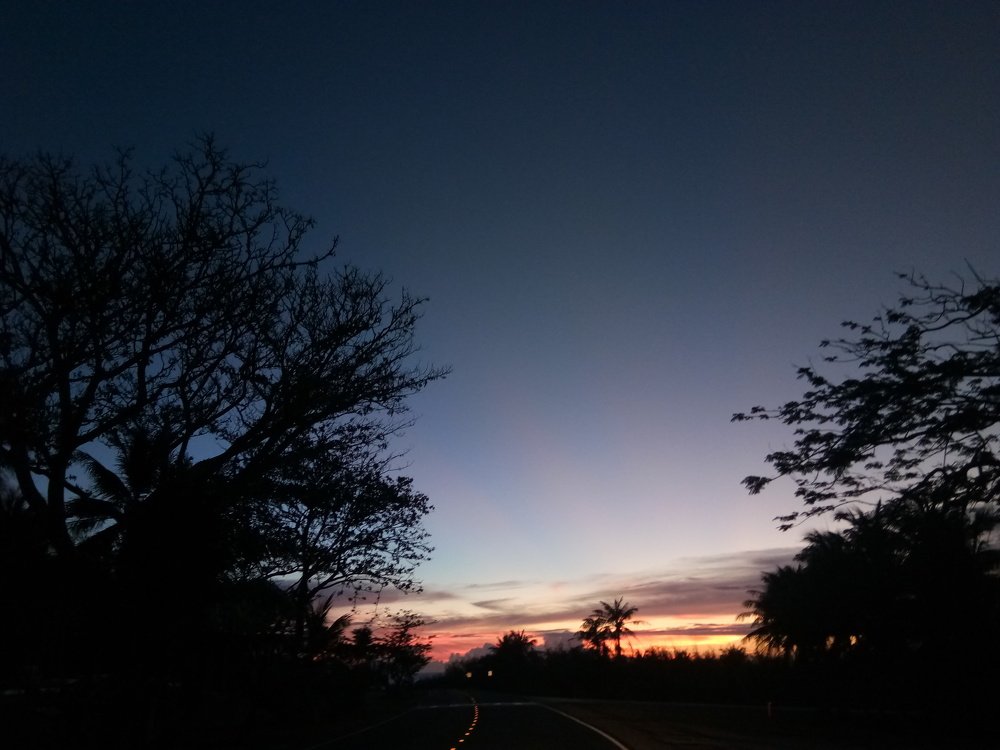 Appreciating the beauty of Nature