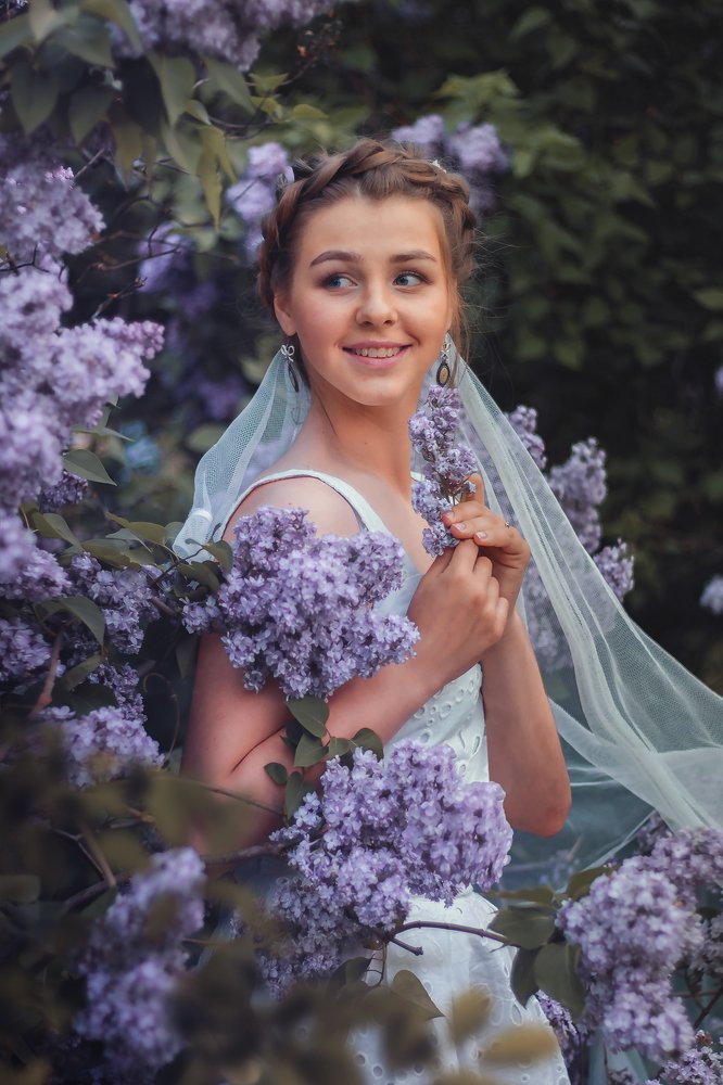 В сиреневом плену