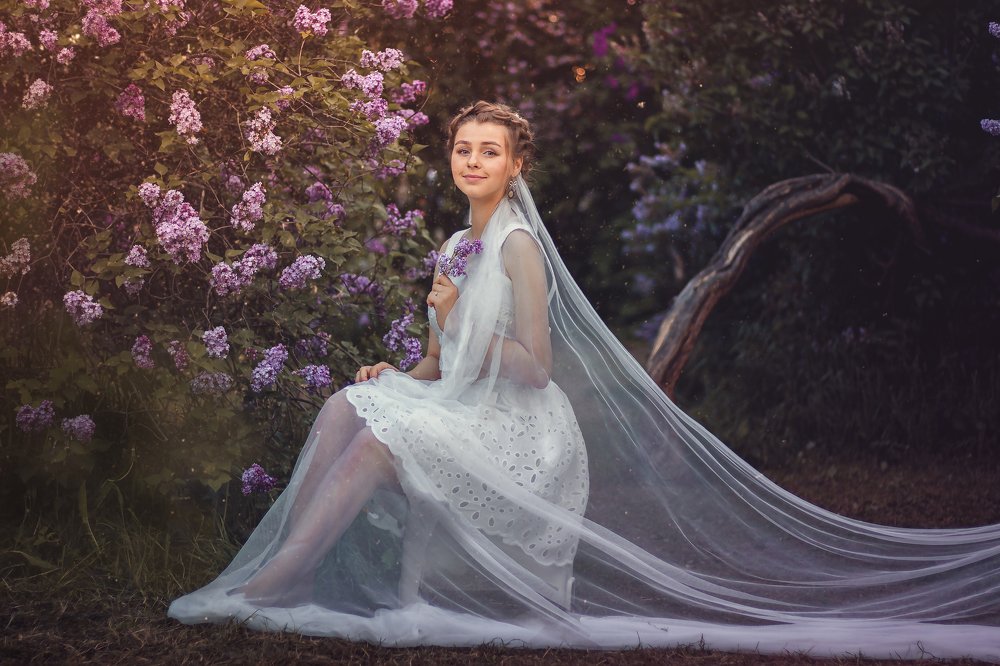 В сиреневом плену