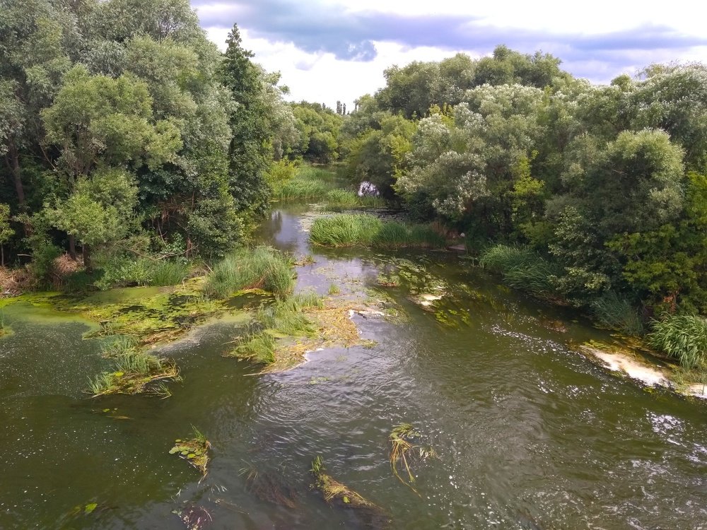 Вид на реку с моста