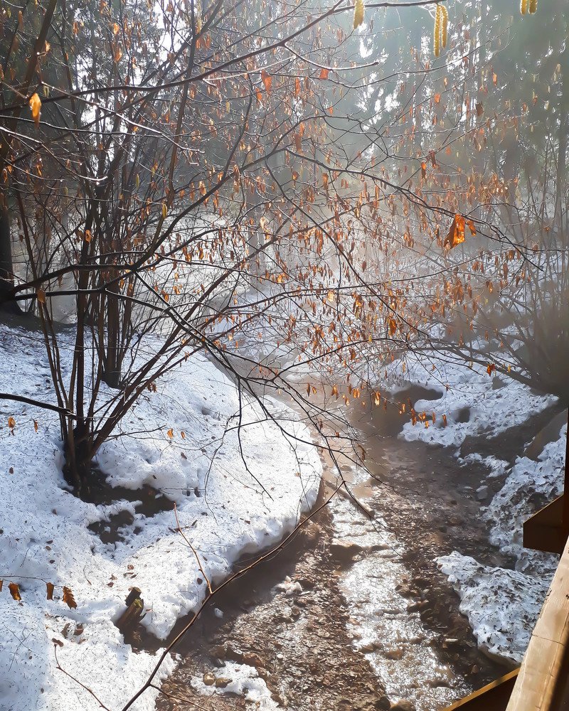 Photograph by Диана Козинцева
