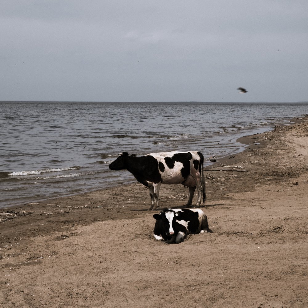 Photograph by Александра