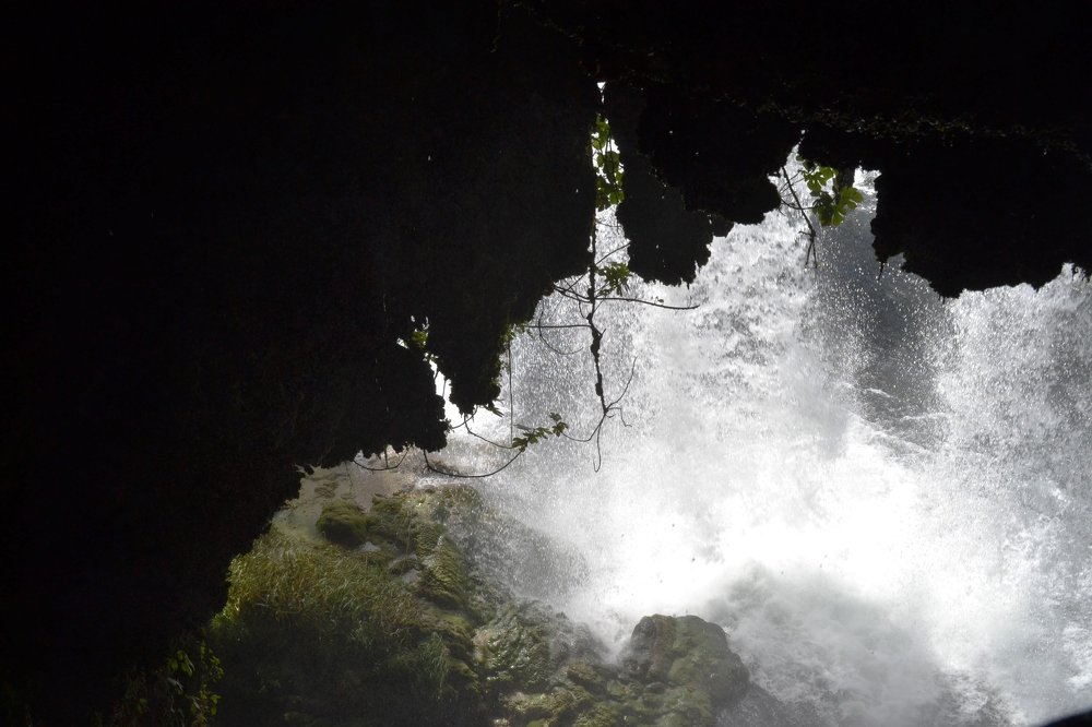 Photograph by Алексей Пахомов