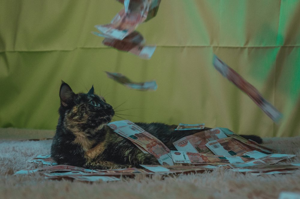 Денежный дождь