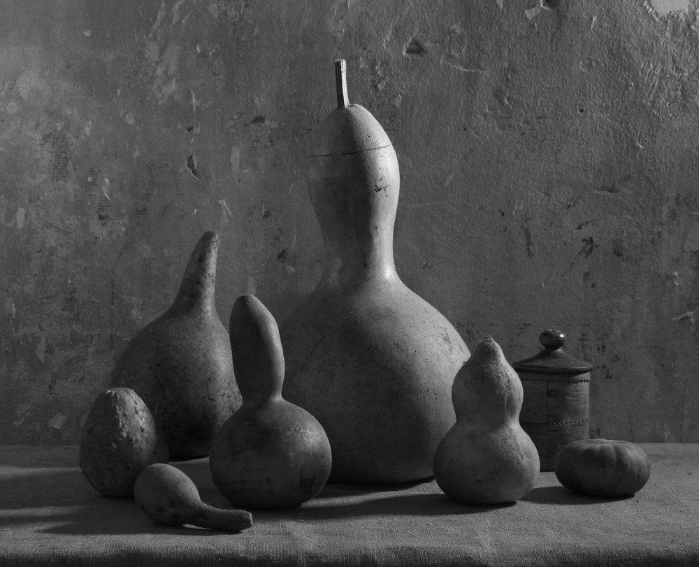 Натюрморт с сухими тыквами