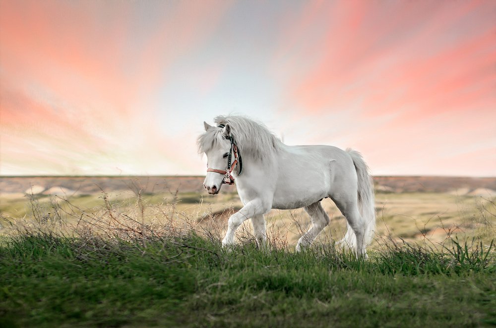 Перед закатом