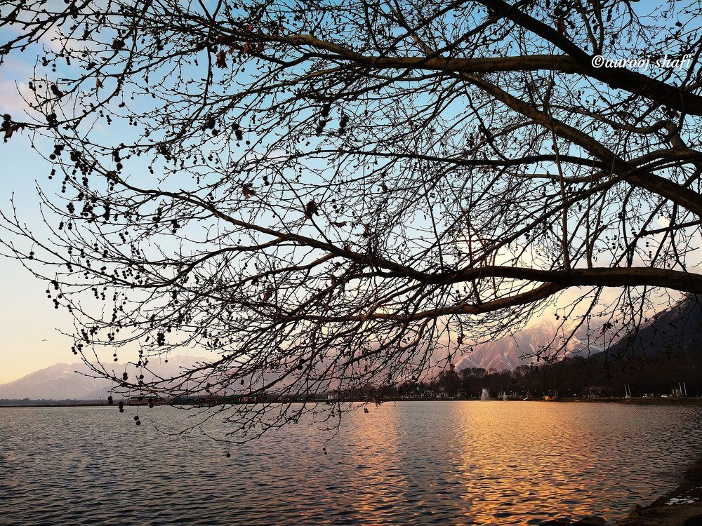 In nature, light creates the color. In the picture, color creates the light.