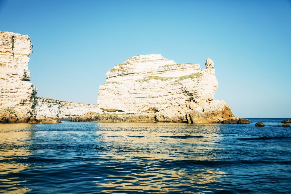 Черепаха мыса Тарханкут