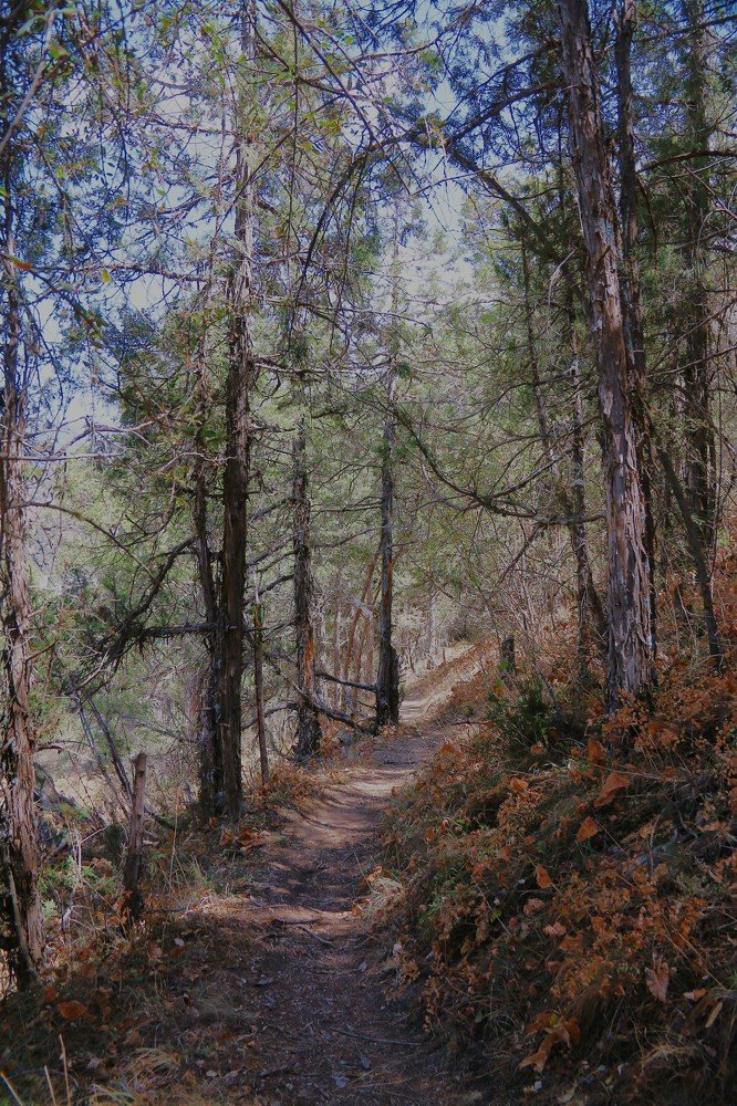 Узбекистан город джизак заамин