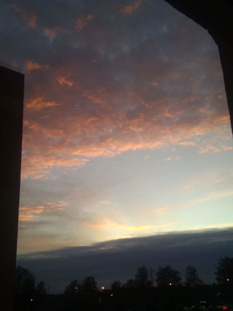 Photo #3279163