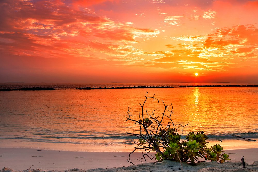 Photograph by Alexander Kalenski