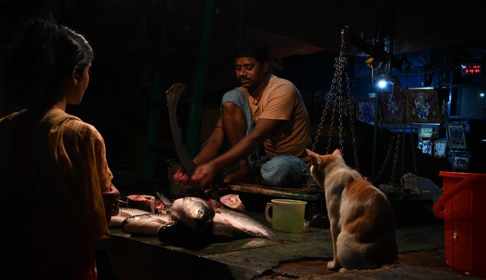 Fish seller buyer interface