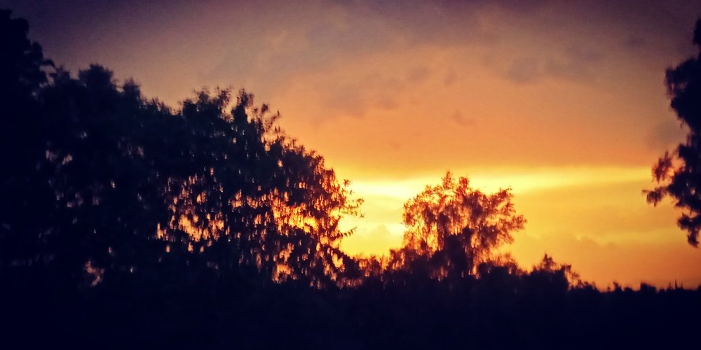 Evening Sunset After rain
