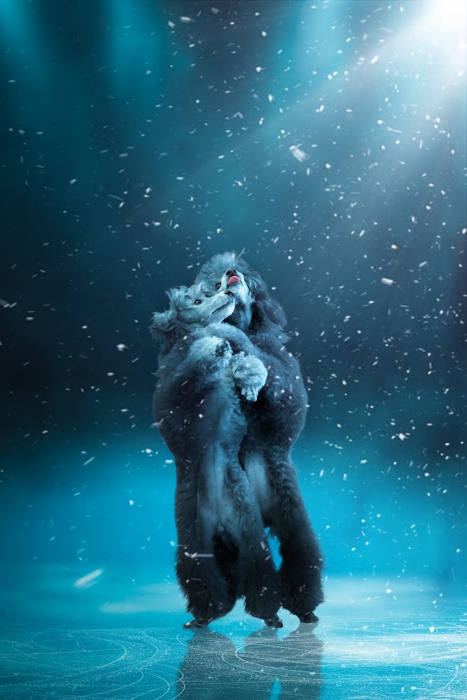 Танцы – перпендикулярное выражение горизонтальных желаний