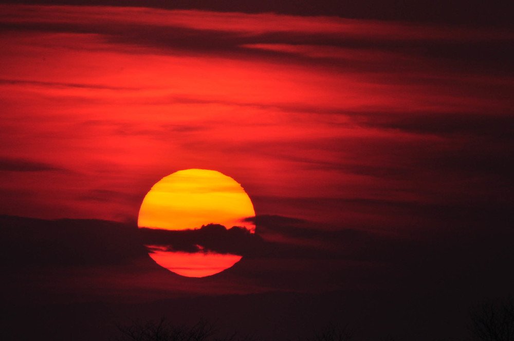 Photograph by Stefan Apostol