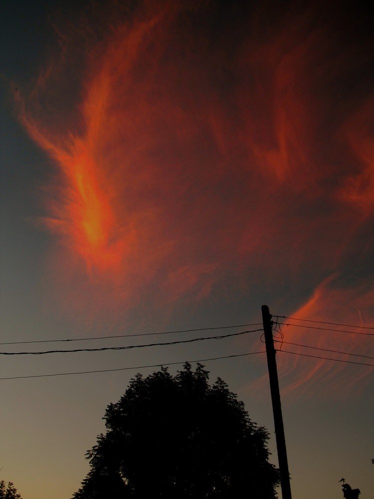 Небесный гость