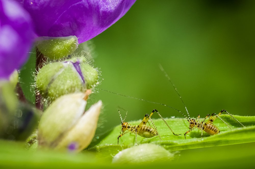 Вместе весело шагать...