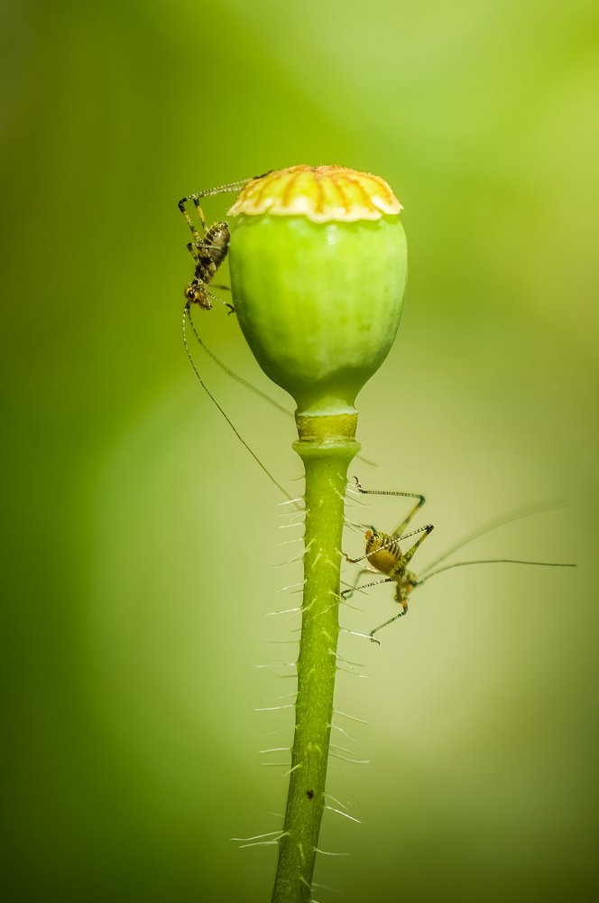 Первое свидание...))