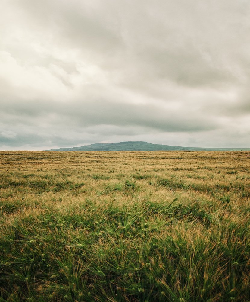 Опукский заповедний