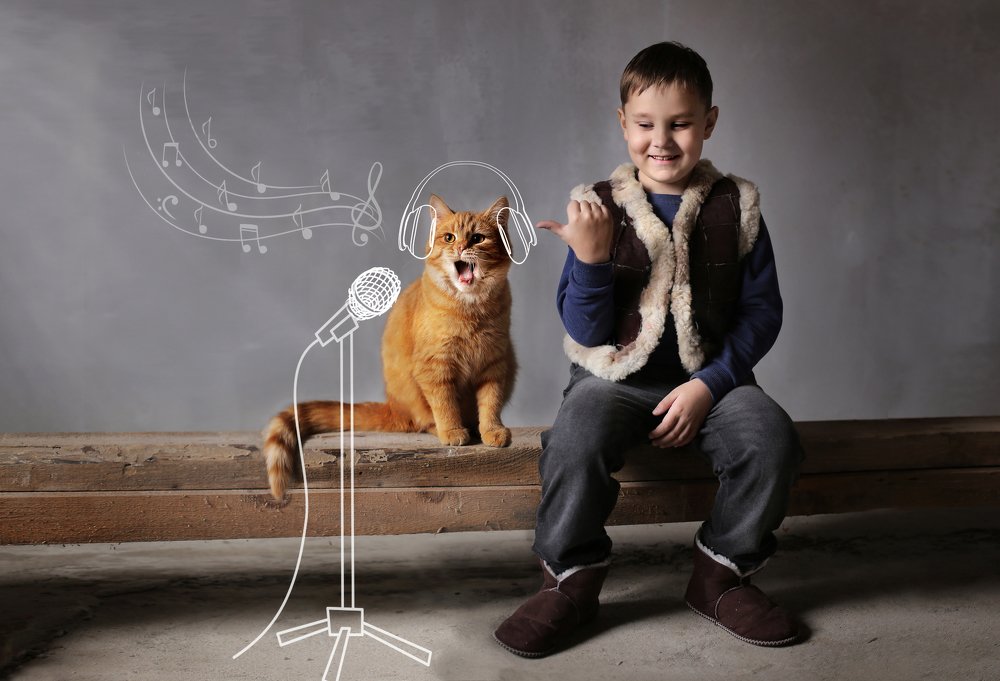 концерт по заявке