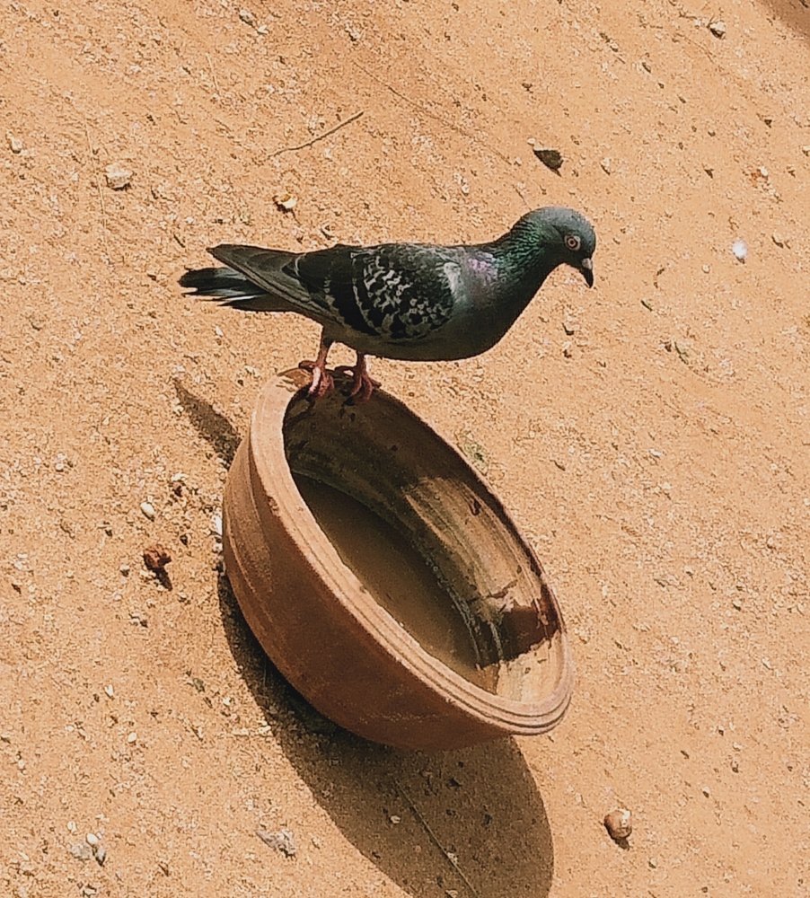 Photograph by Aishwarya Reddy