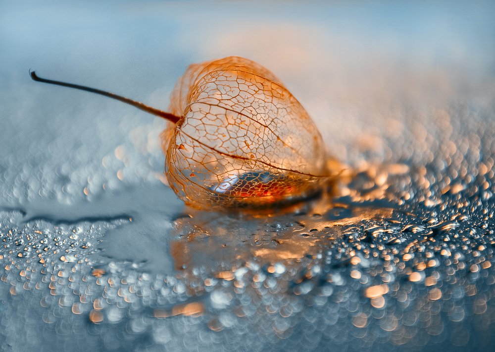 сохраненные чувства