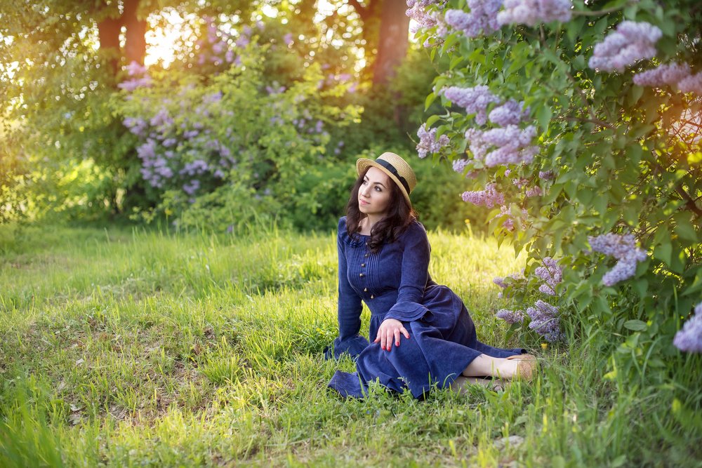 куст сирени