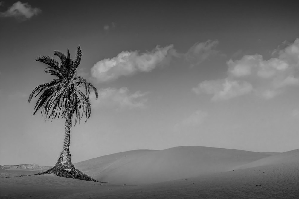 risistent agan opperssion