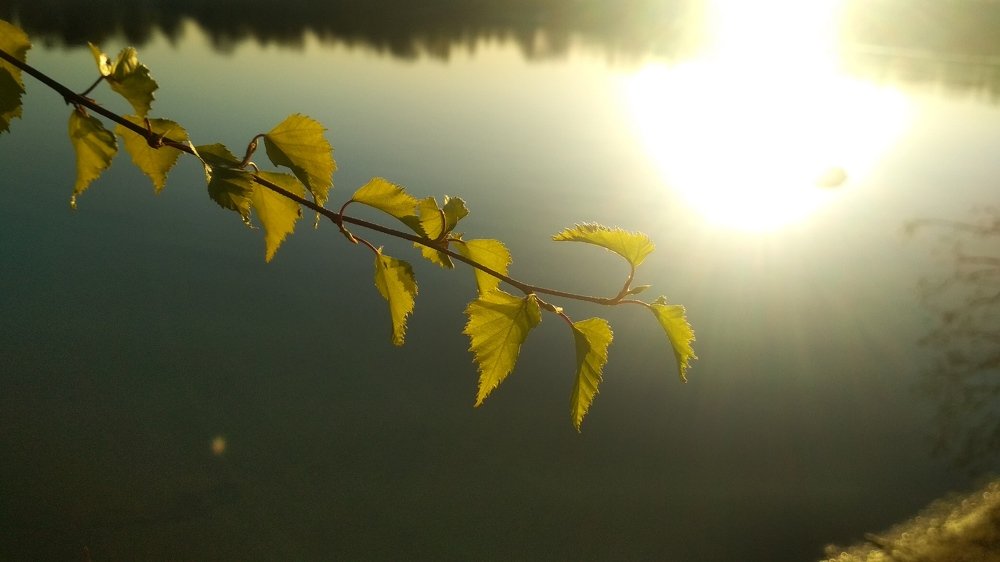 Photograph by Любовь Макарова