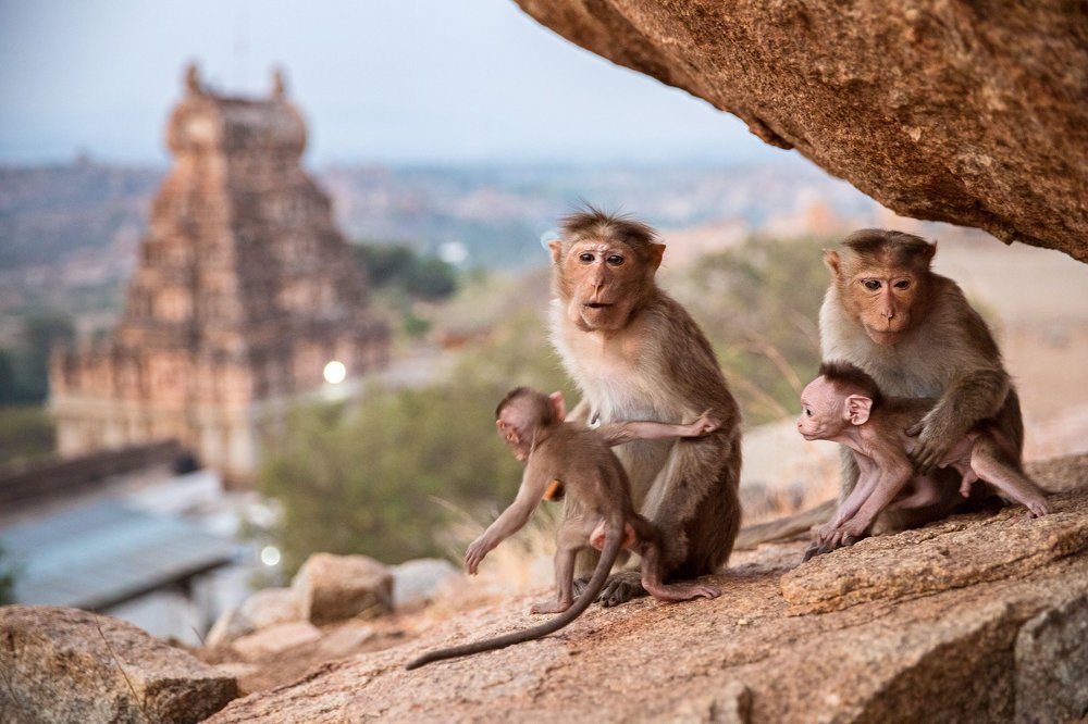 Family from sacred Matanga Hill