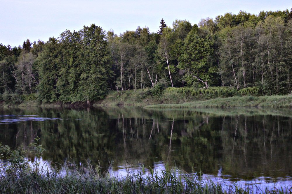 река Молога