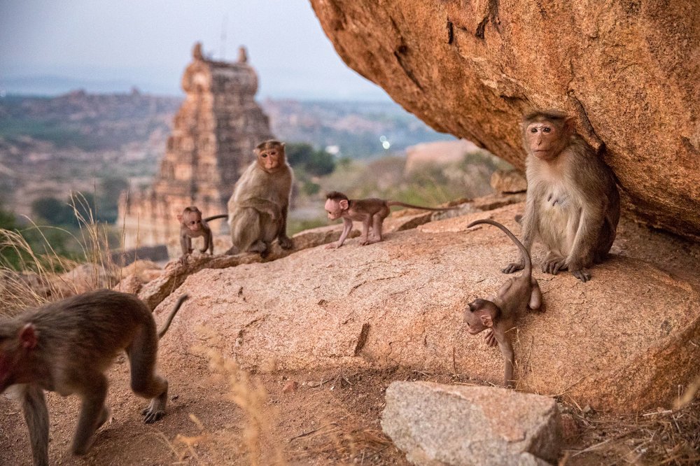Family from sacred Matanga Hill