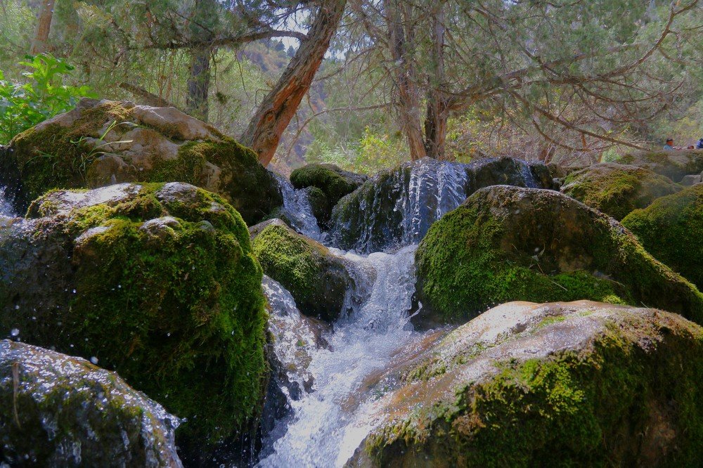 Узбекистан город Джизак  Заамински раён